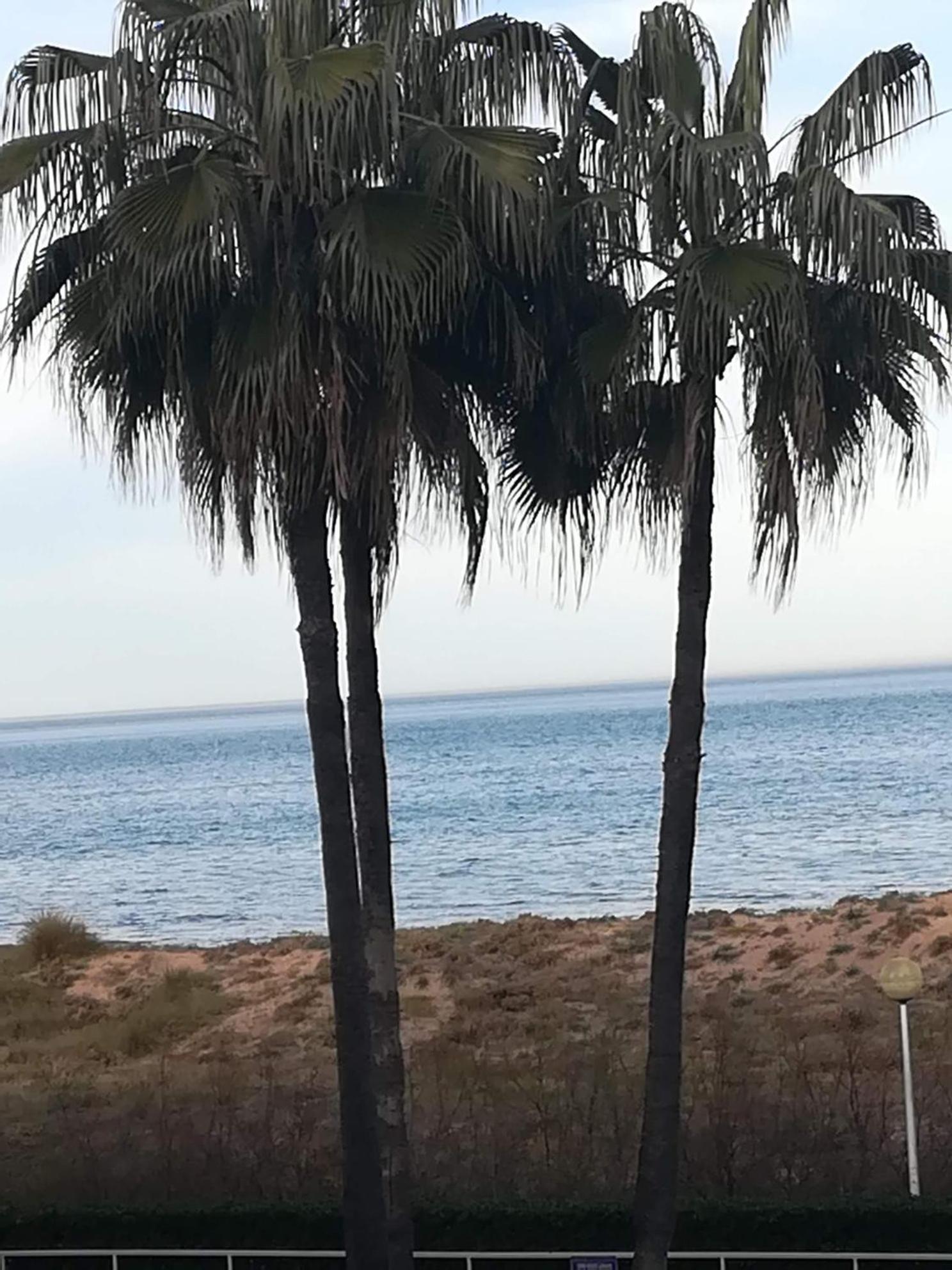 Appartamento Gandia Daimuz Daimus Esterno foto